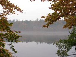 IMGP3729-Kig-til-Hald-Soe